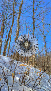 All Souls Vinyl Record Hanging in Tree