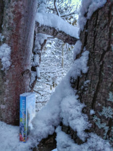 Skelotonized Cassette Tape In Tree Snow