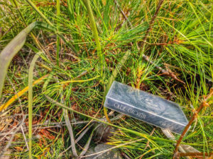 Olde Growth Cassette Tape in Pine