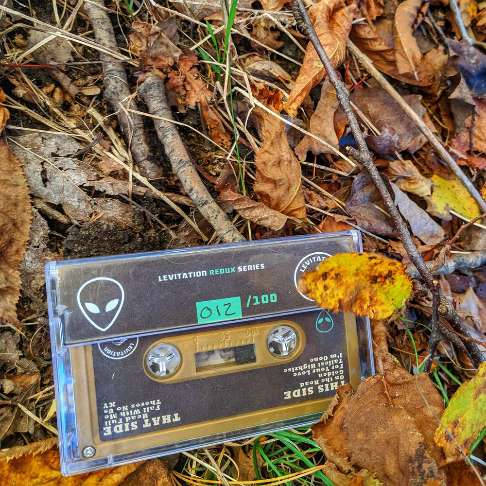 Analog Music Review Cassette in Forest